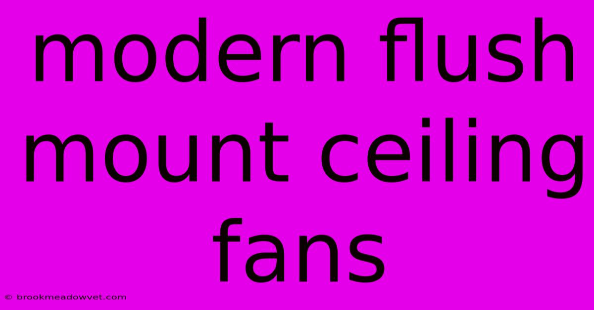 Modern Flush Mount Ceiling Fans