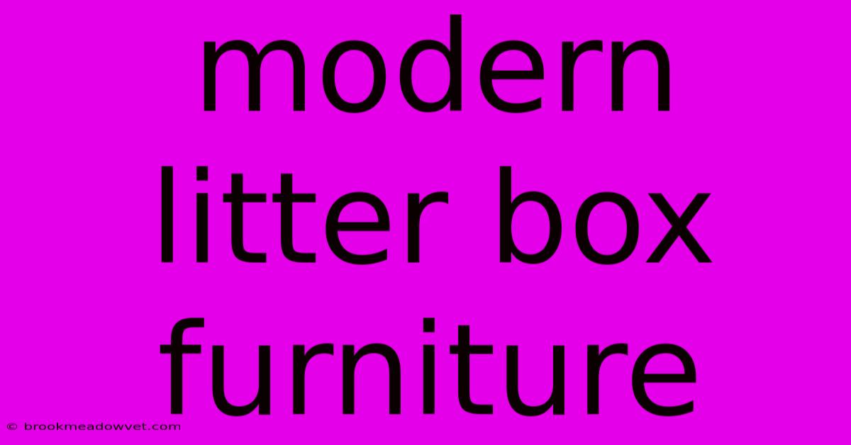 Modern Litter Box Furniture