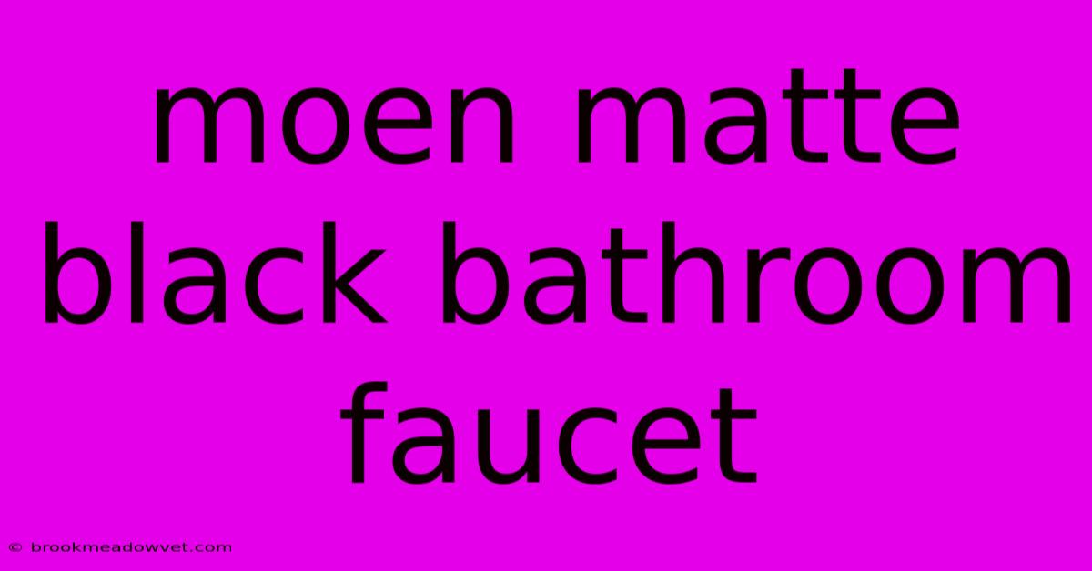 Moen Matte Black Bathroom Faucet