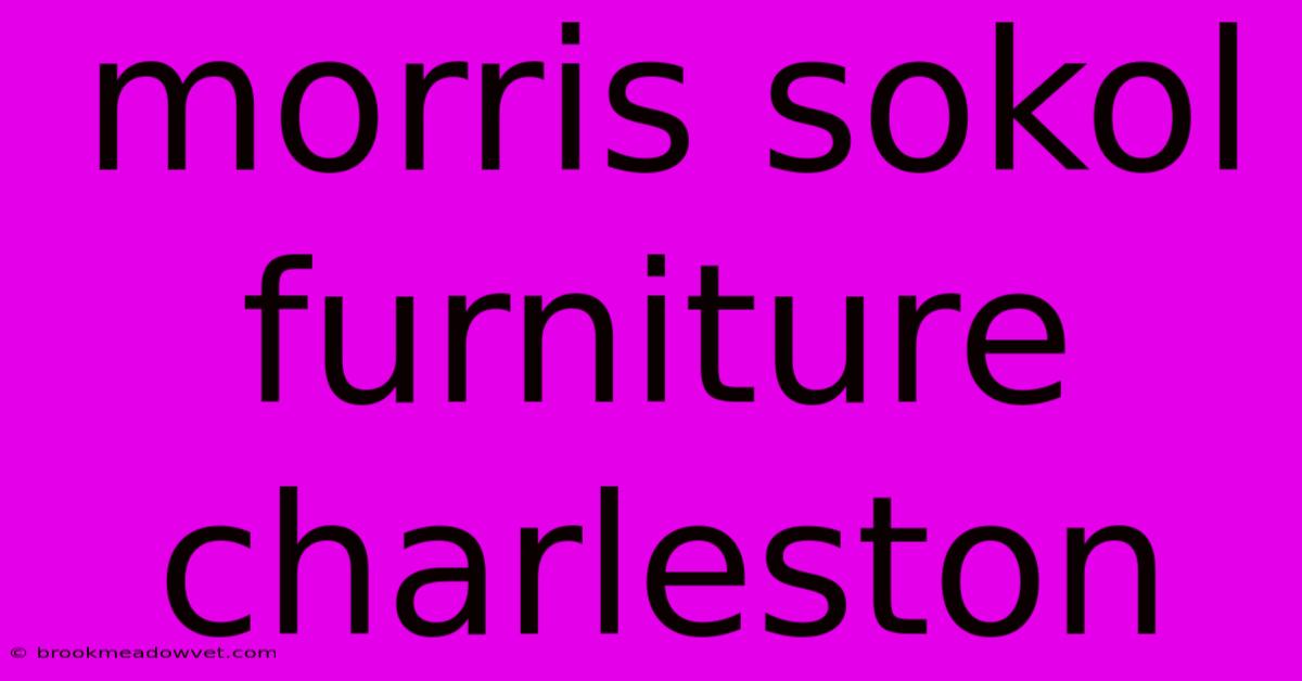 Morris Sokol Furniture Charleston