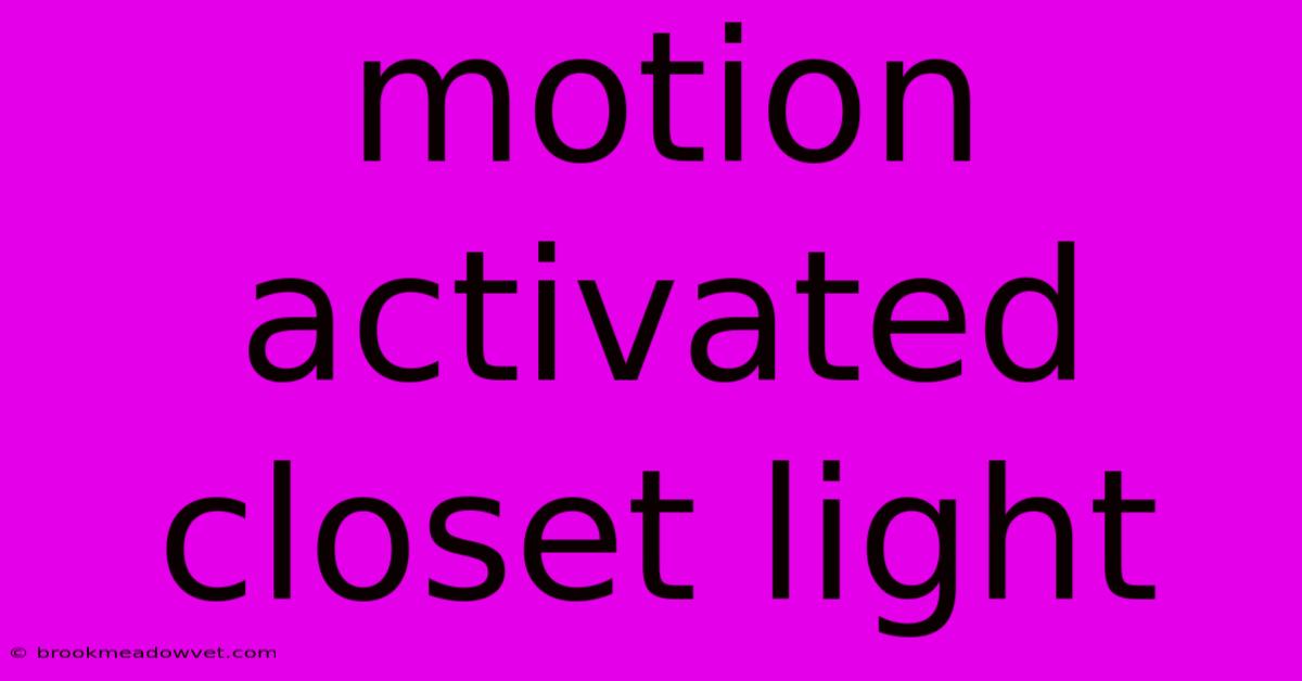 Motion Activated Closet Light