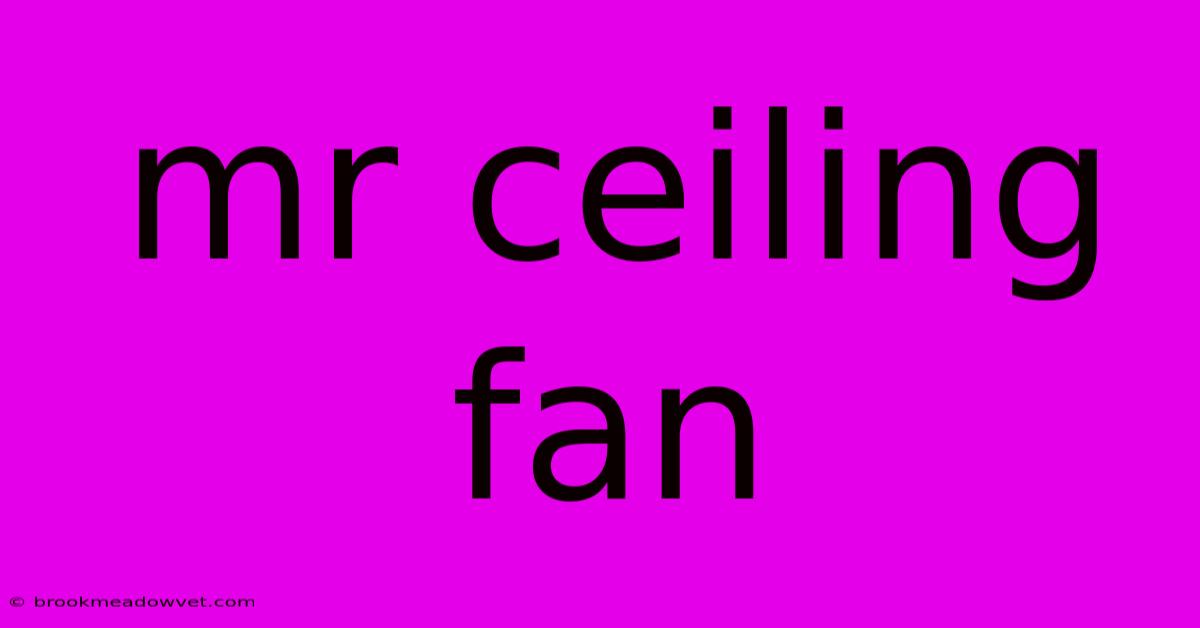 Mr Ceiling Fan