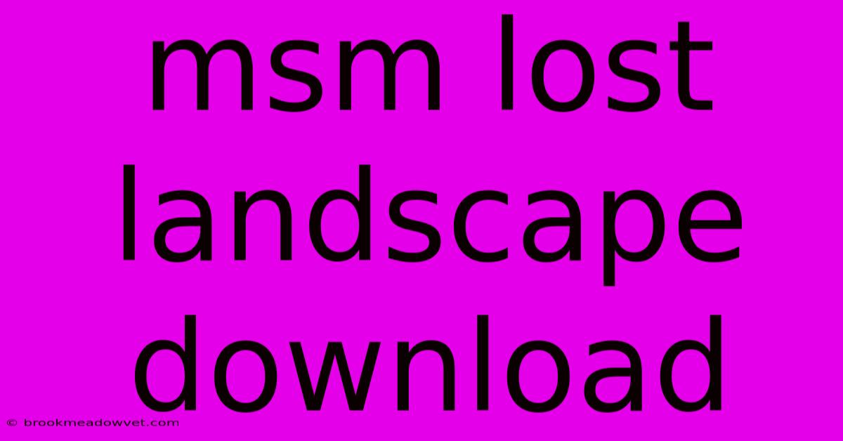 Msm Lost Landscape Download