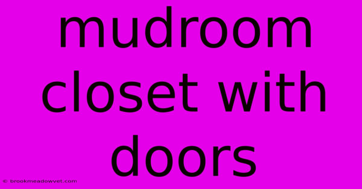 Mudroom Closet With Doors