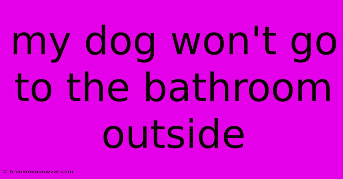 My Dog Won't Go To The Bathroom Outside