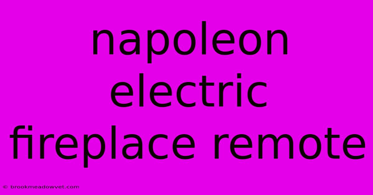 Napoleon Electric Fireplace Remote