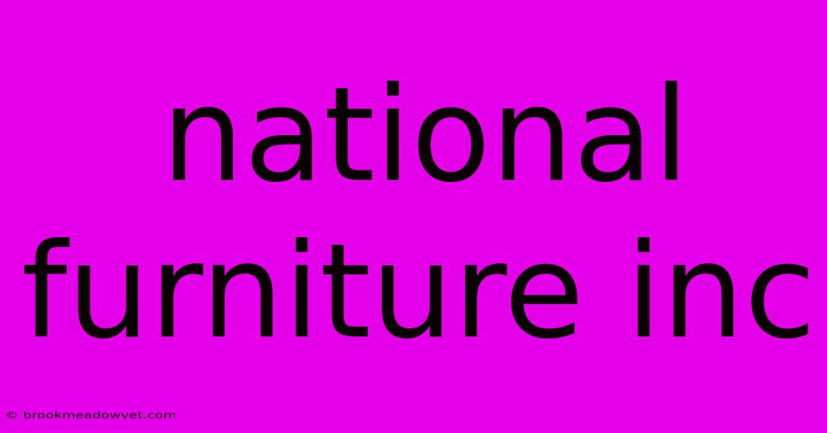 National Furniture Inc