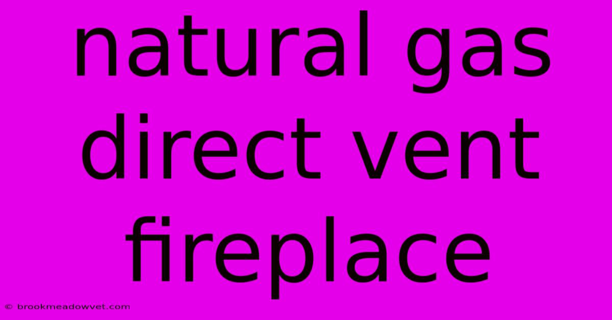 Natural Gas Direct Vent Fireplace