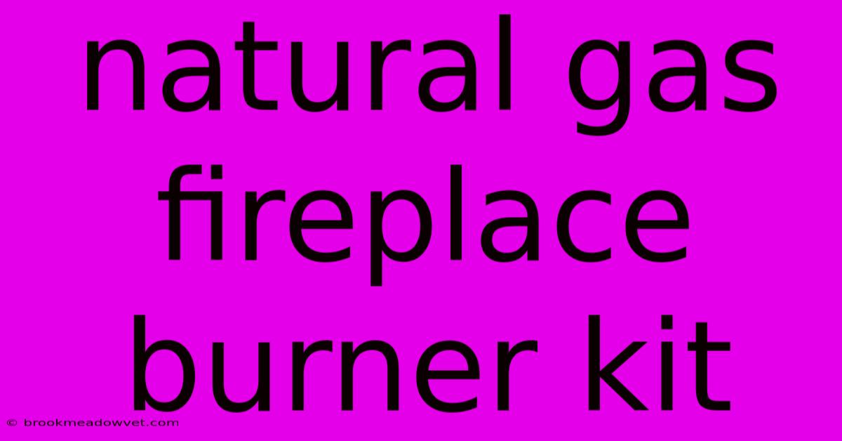 Natural Gas Fireplace Burner Kit