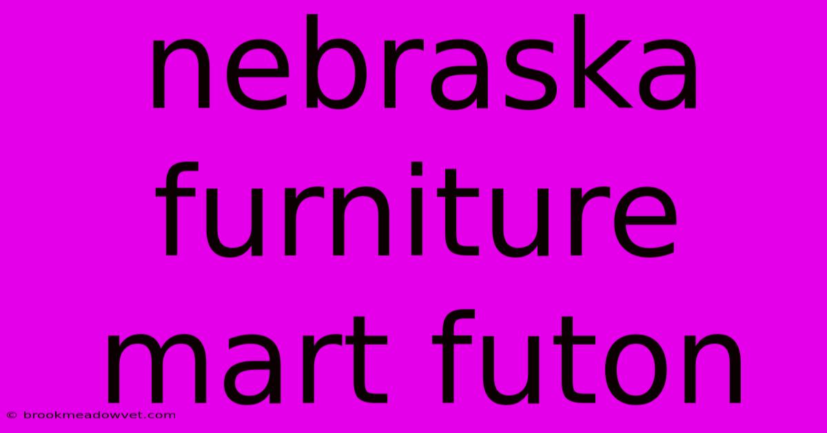 Nebraska Furniture Mart Futon