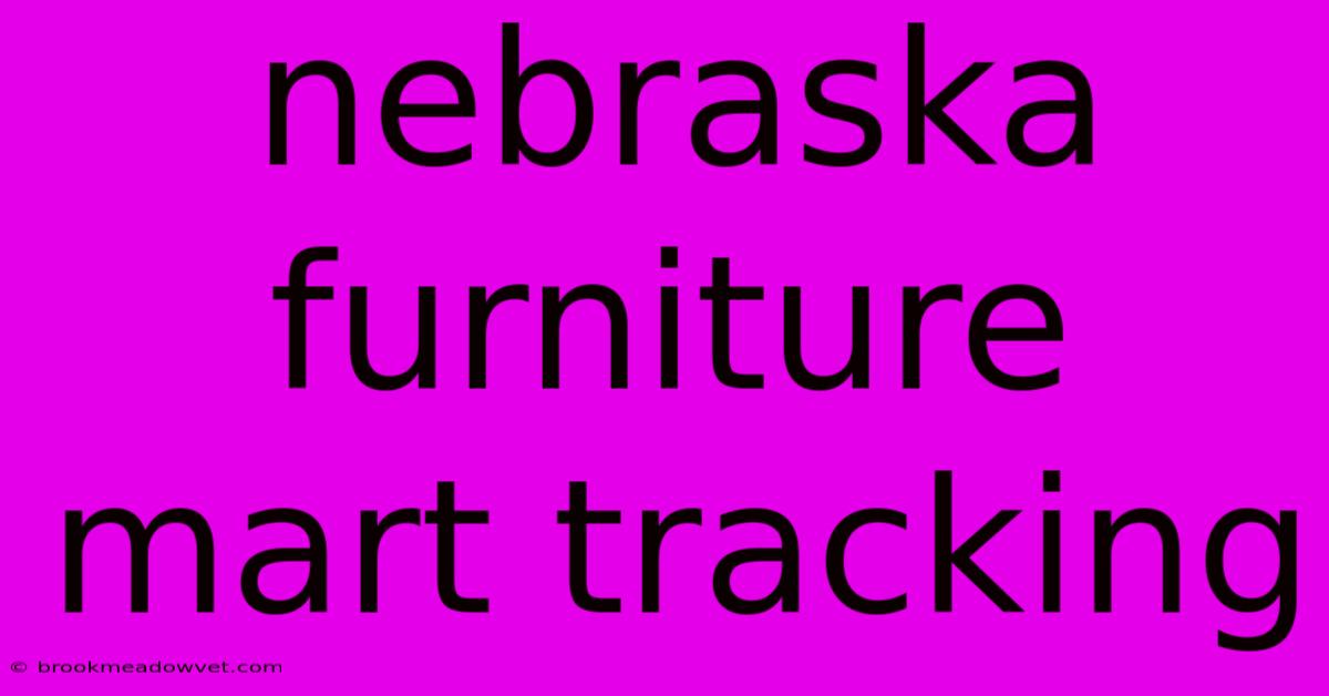 Nebraska Furniture Mart Tracking