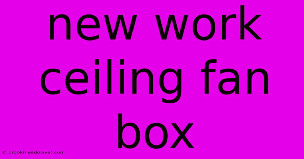 New Work Ceiling Fan Box