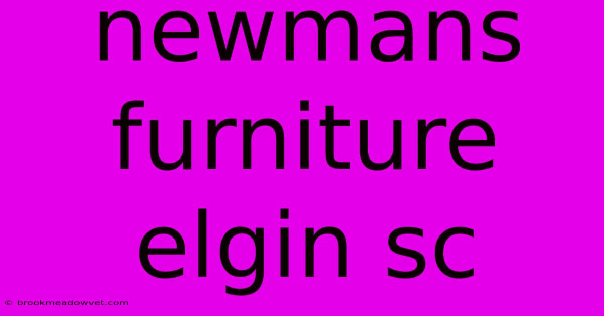 Newmans Furniture Elgin Sc