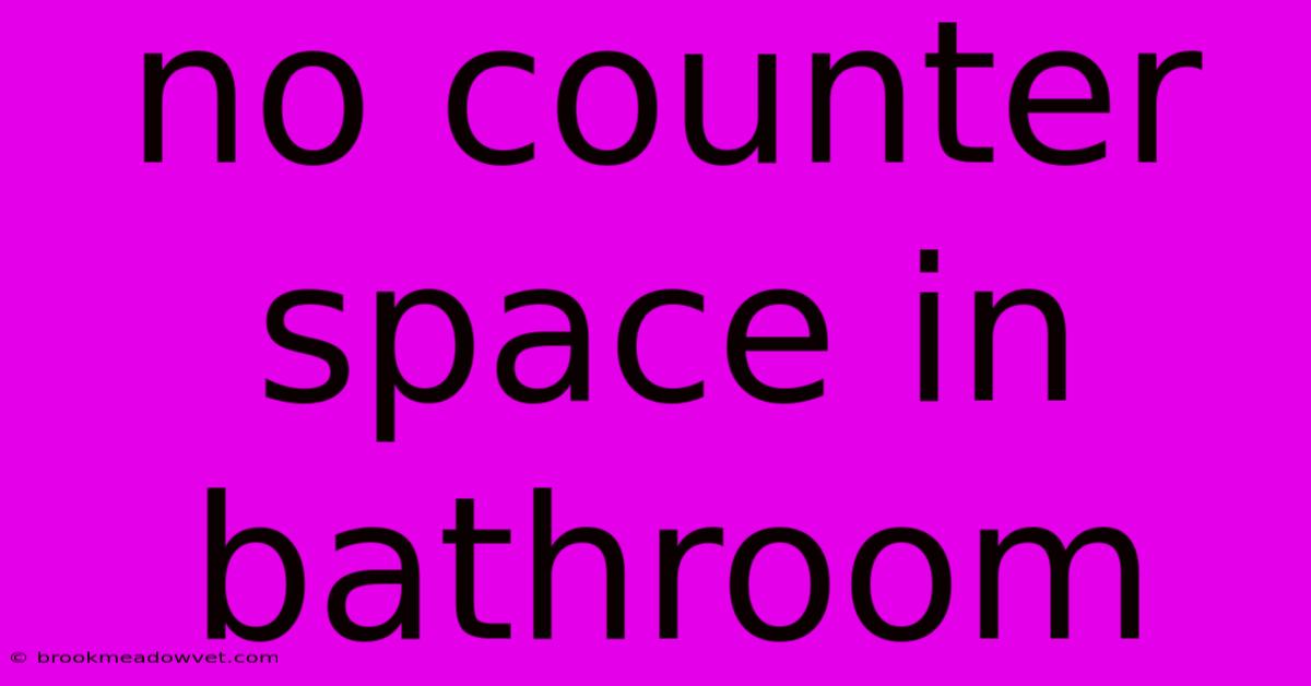 No Counter Space In Bathroom