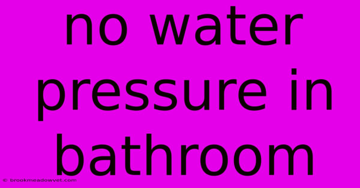 No Water Pressure In Bathroom