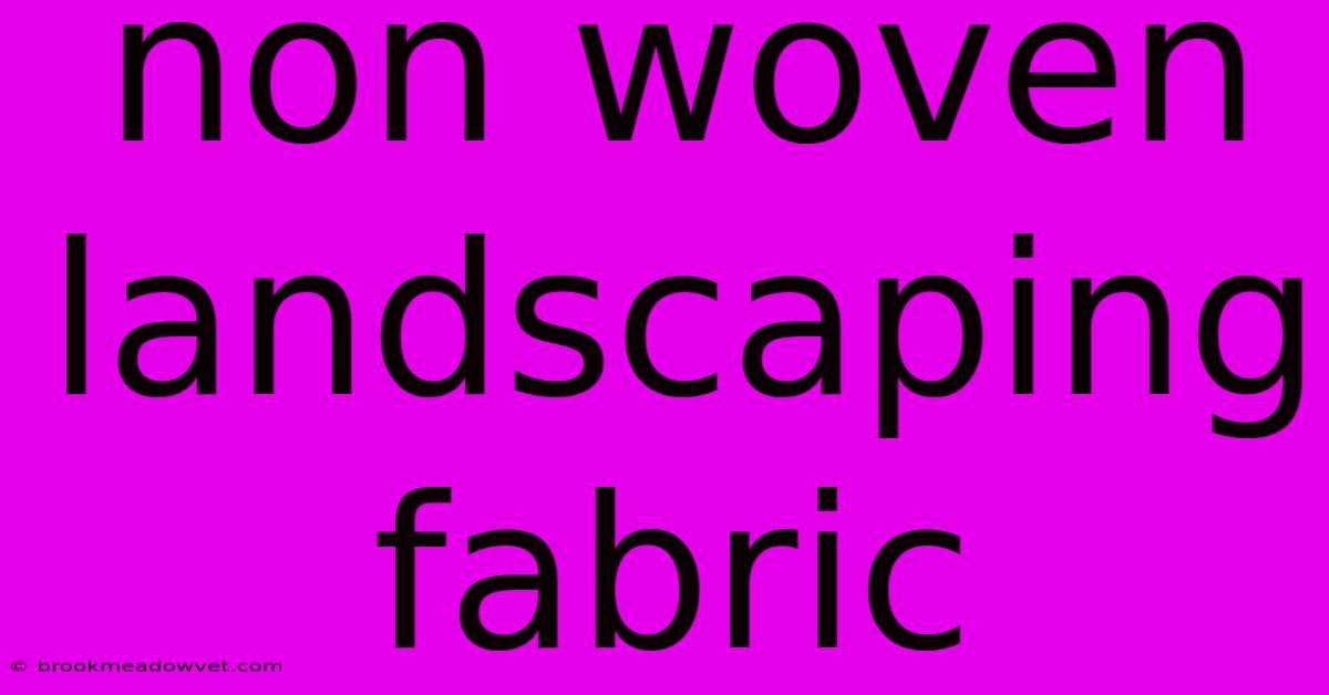 Non Woven Landscaping Fabric