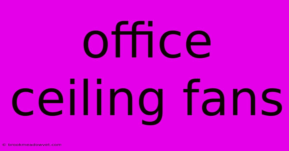 Office Ceiling Fans