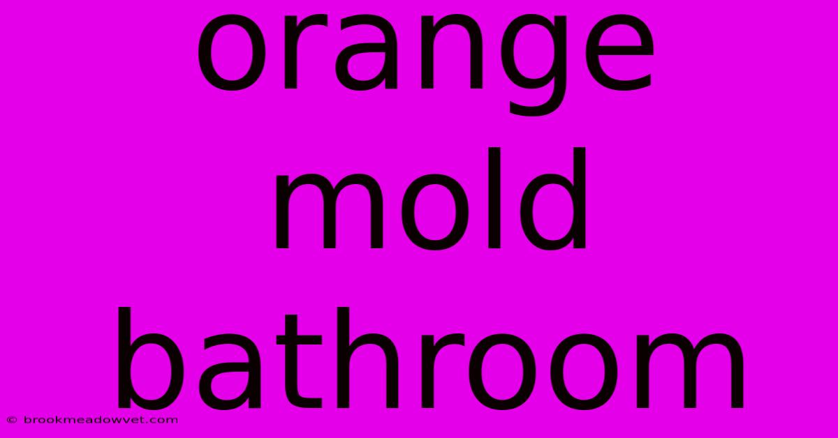 Orange Mold Bathroom