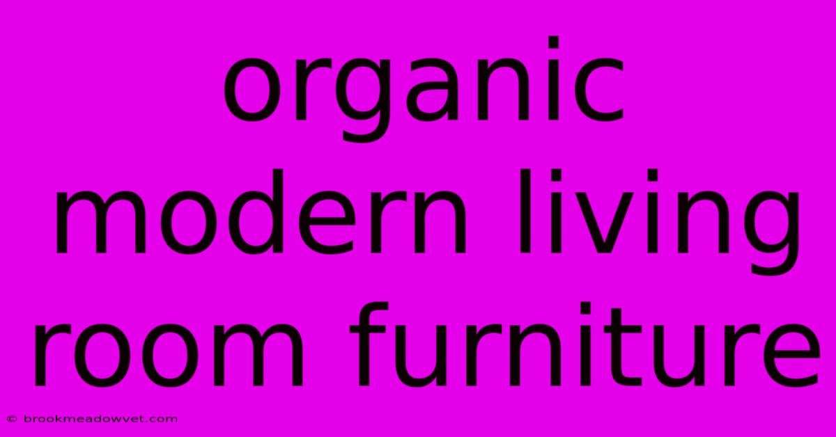 Organic Modern Living Room Furniture