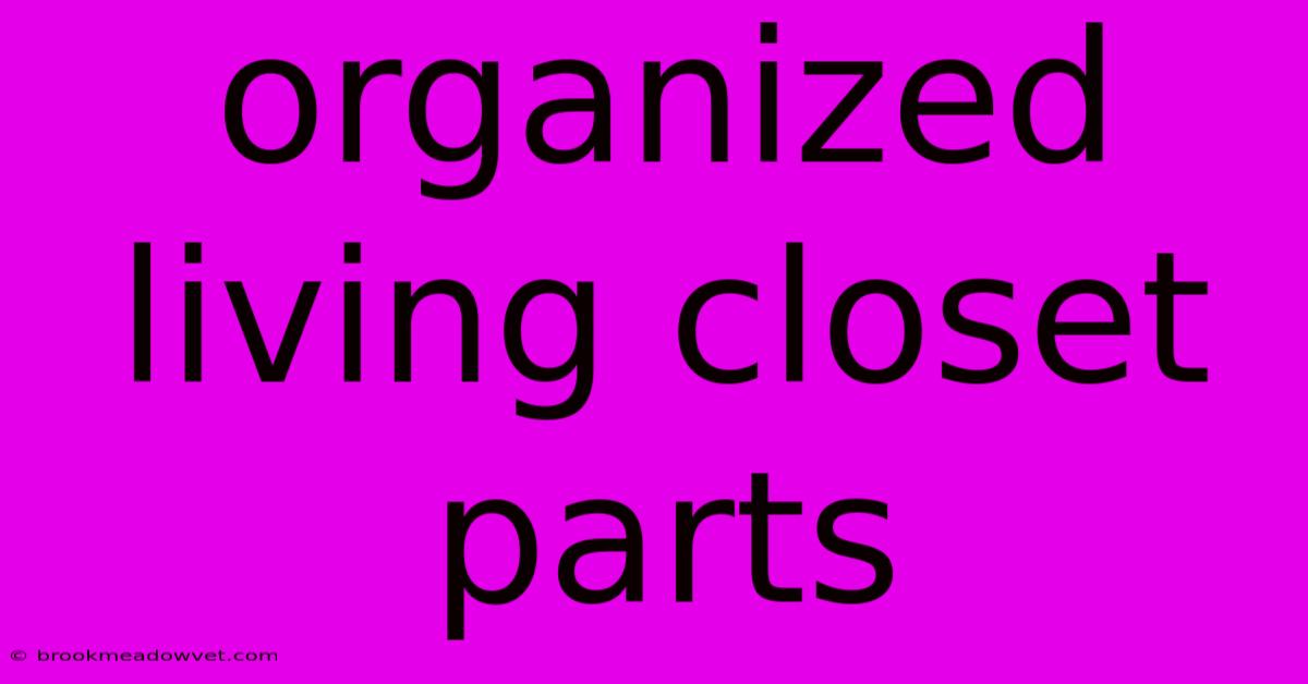 Organized Living Closet Parts