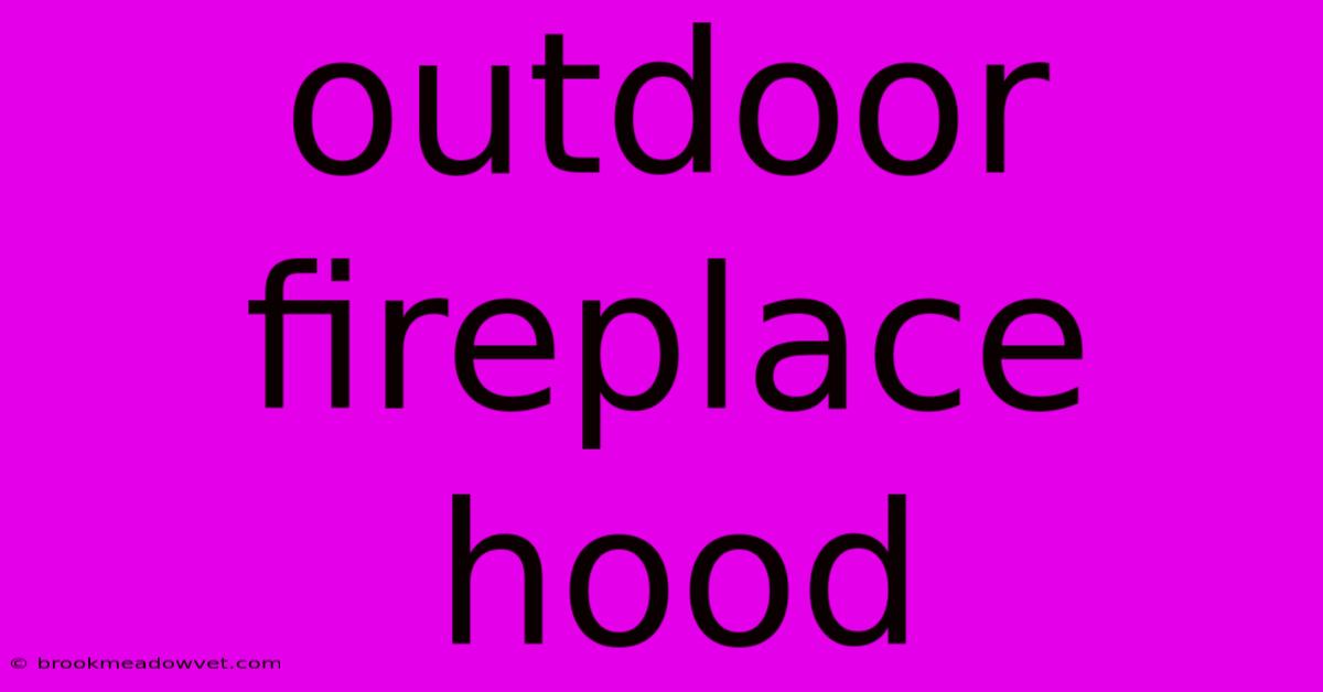 Outdoor Fireplace Hood