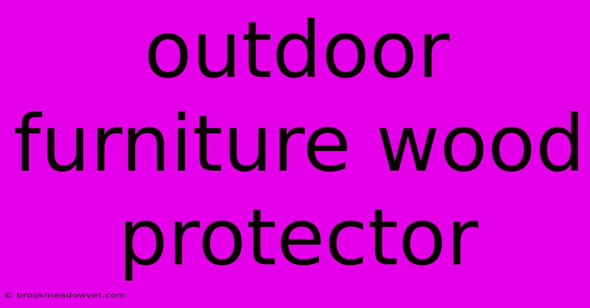 Outdoor Furniture Wood Protector