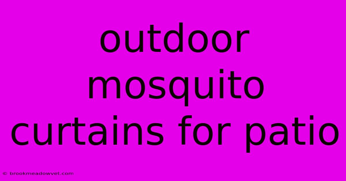 Outdoor Mosquito Curtains For Patio