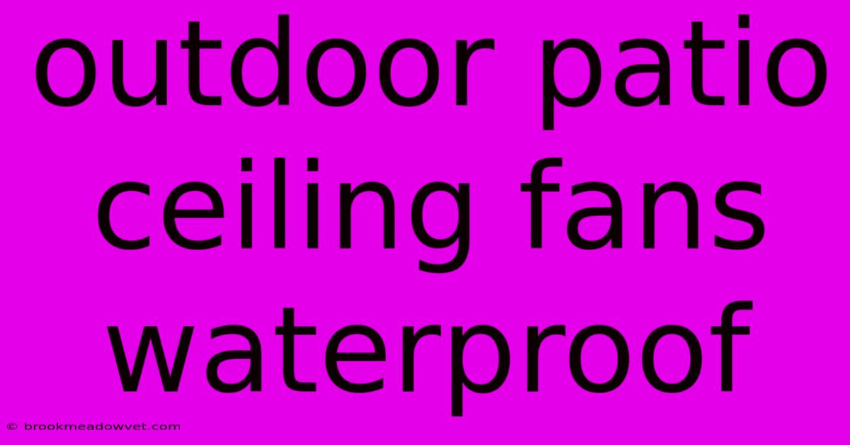 Outdoor Patio Ceiling Fans Waterproof