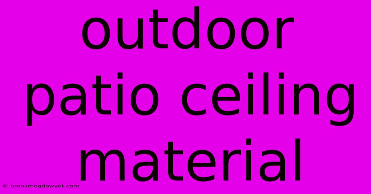 Outdoor Patio Ceiling Material