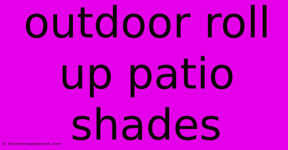 Outdoor Roll Up Patio Shades