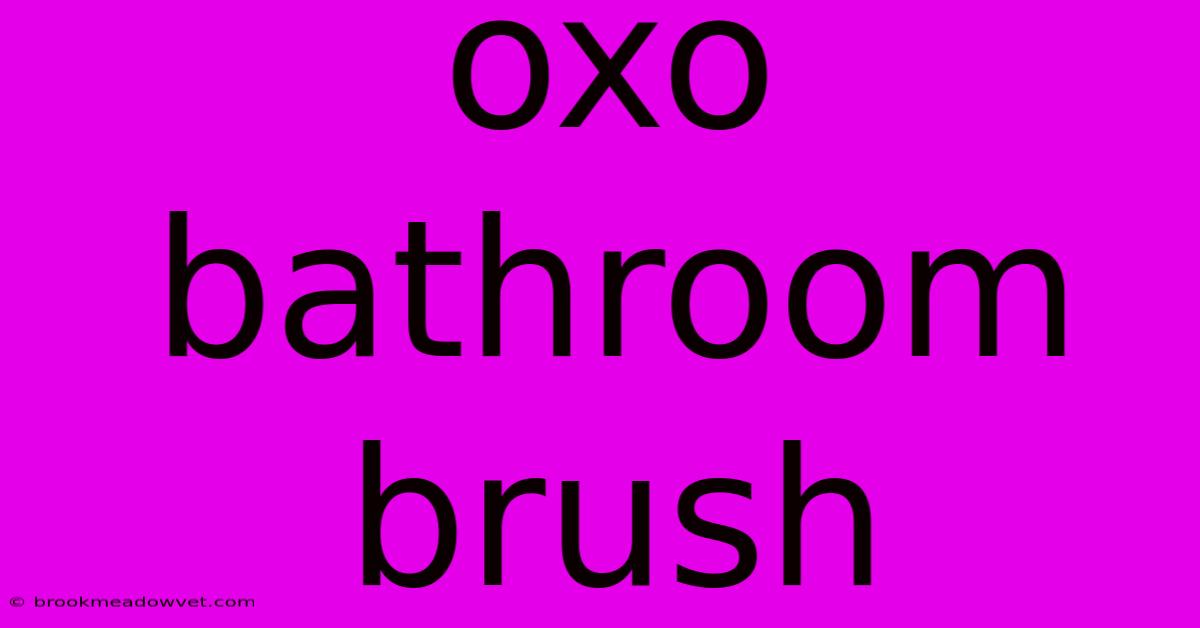 Oxo Bathroom Brush