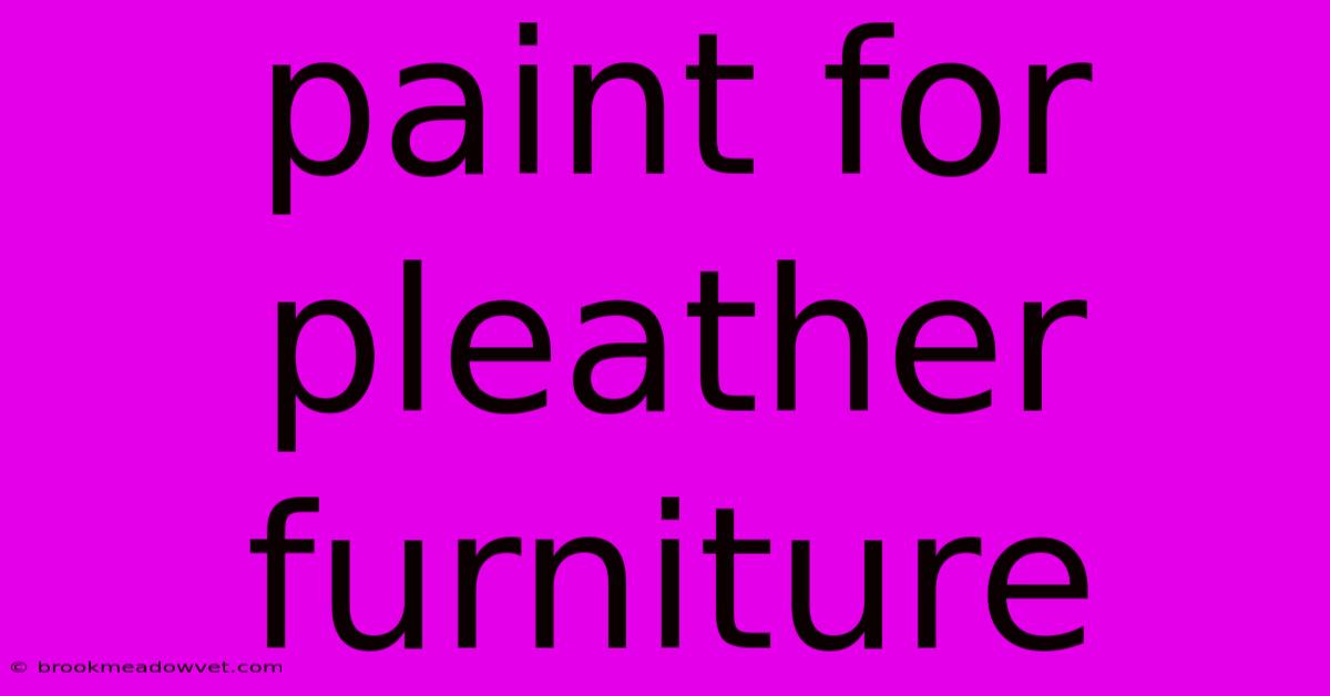 Paint For Pleather Furniture