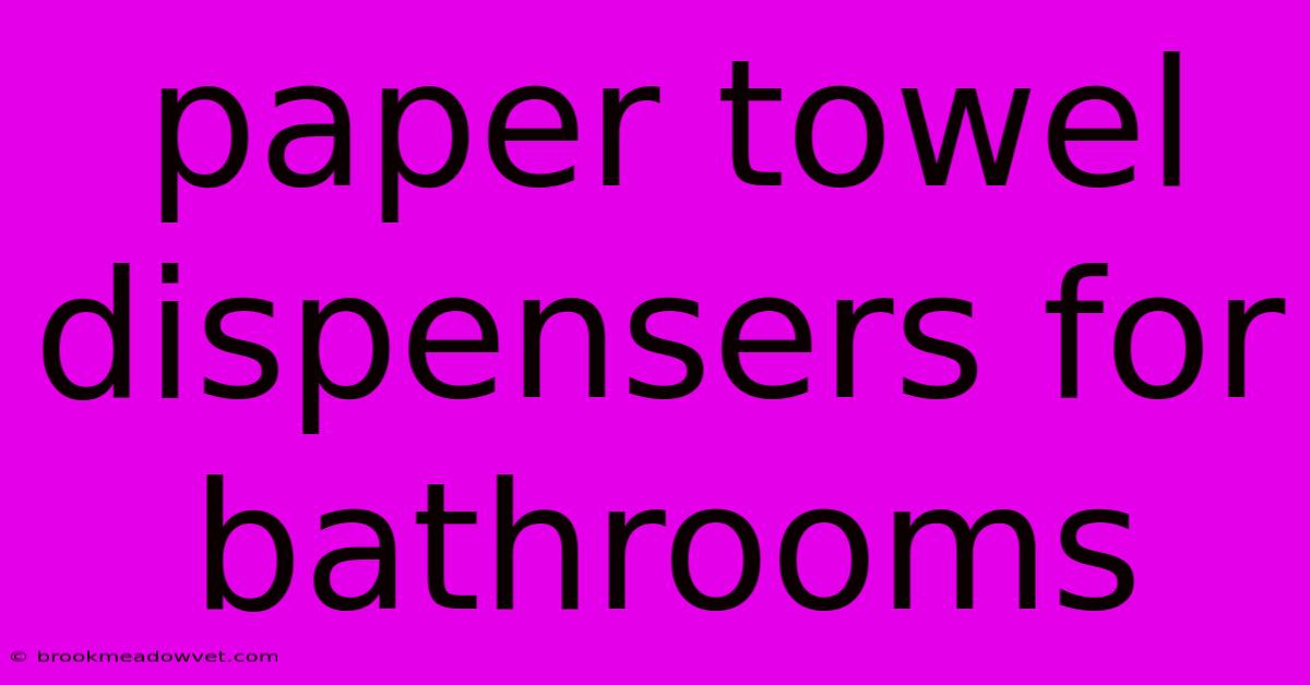 Paper Towel Dispensers For Bathrooms