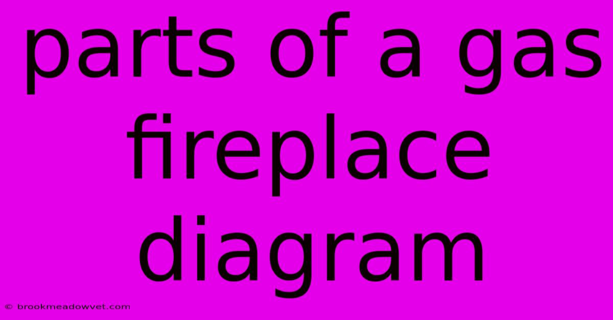 Parts Of A Gas Fireplace Diagram