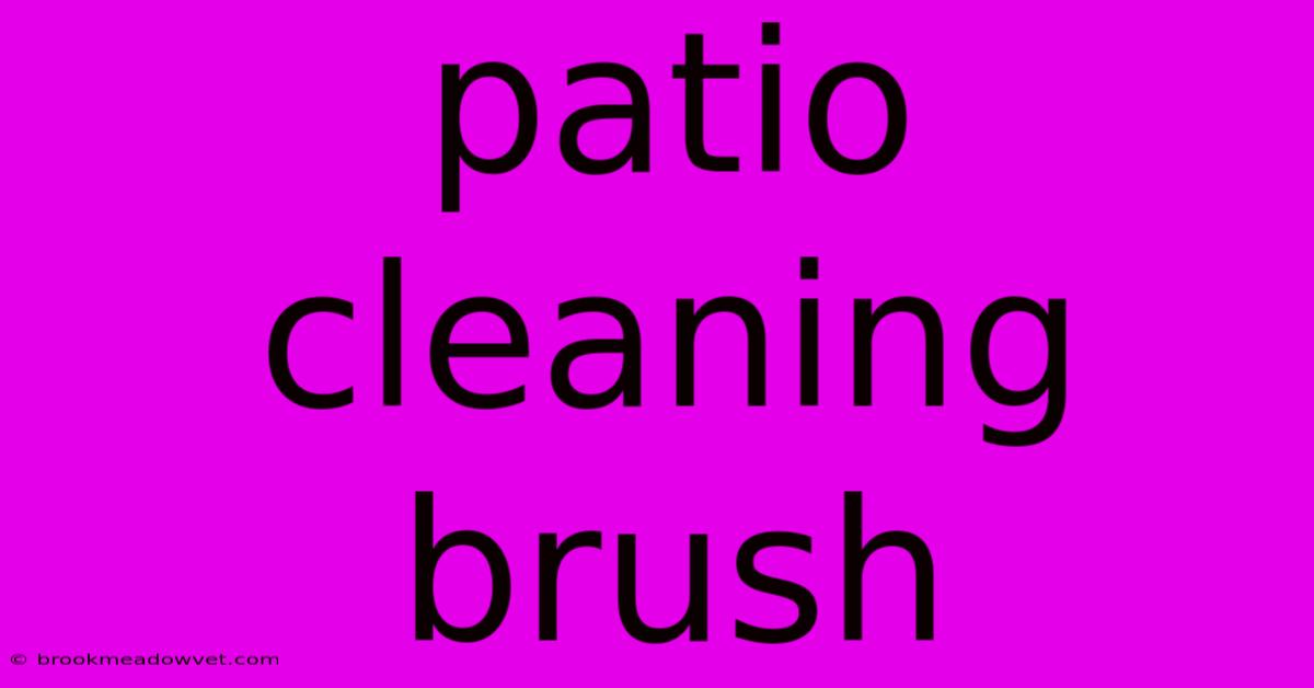 Patio Cleaning Brush