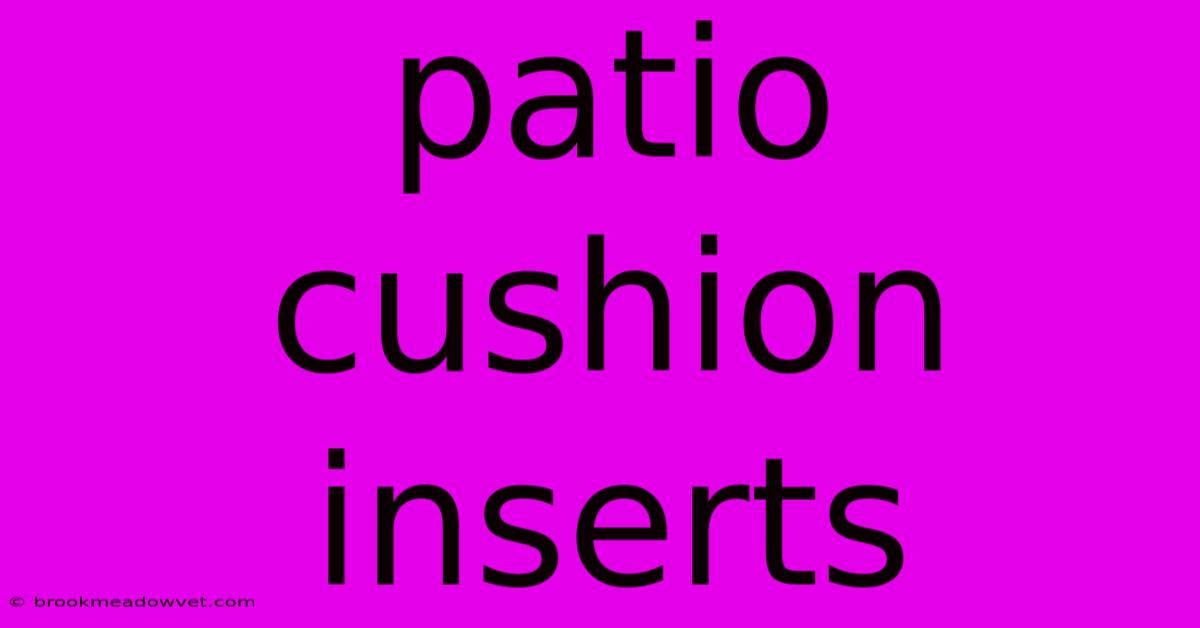 Patio Cushion Inserts