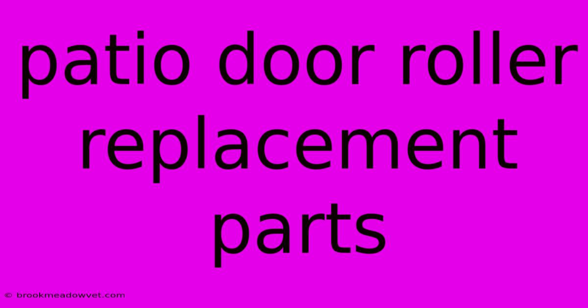 Patio Door Roller Replacement Parts