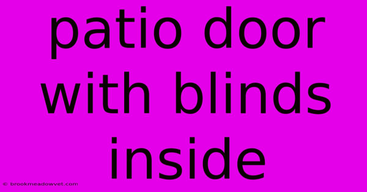 Patio Door With Blinds Inside