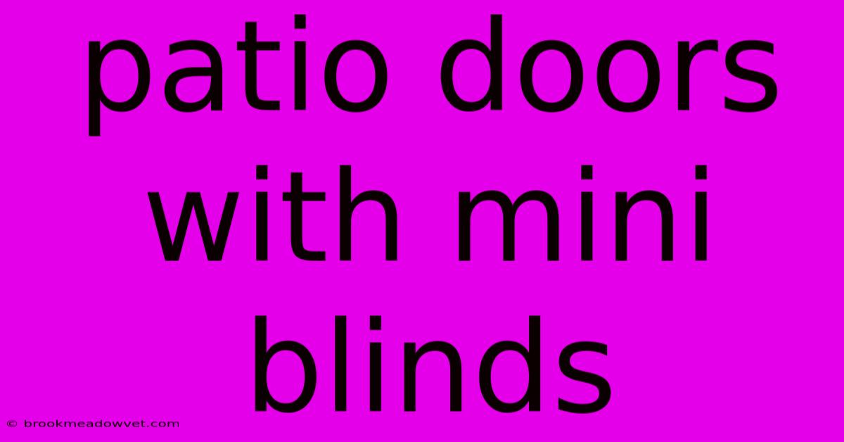 Patio Doors With Mini Blinds