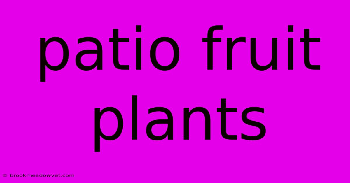 Patio Fruit Plants