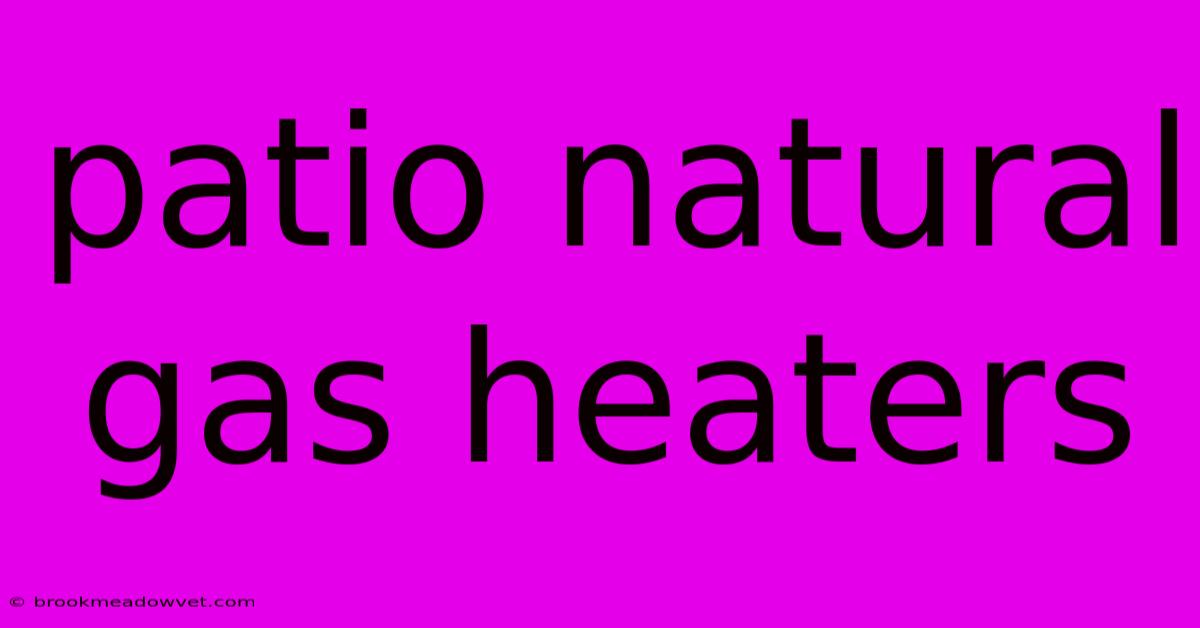 Patio Natural Gas Heaters