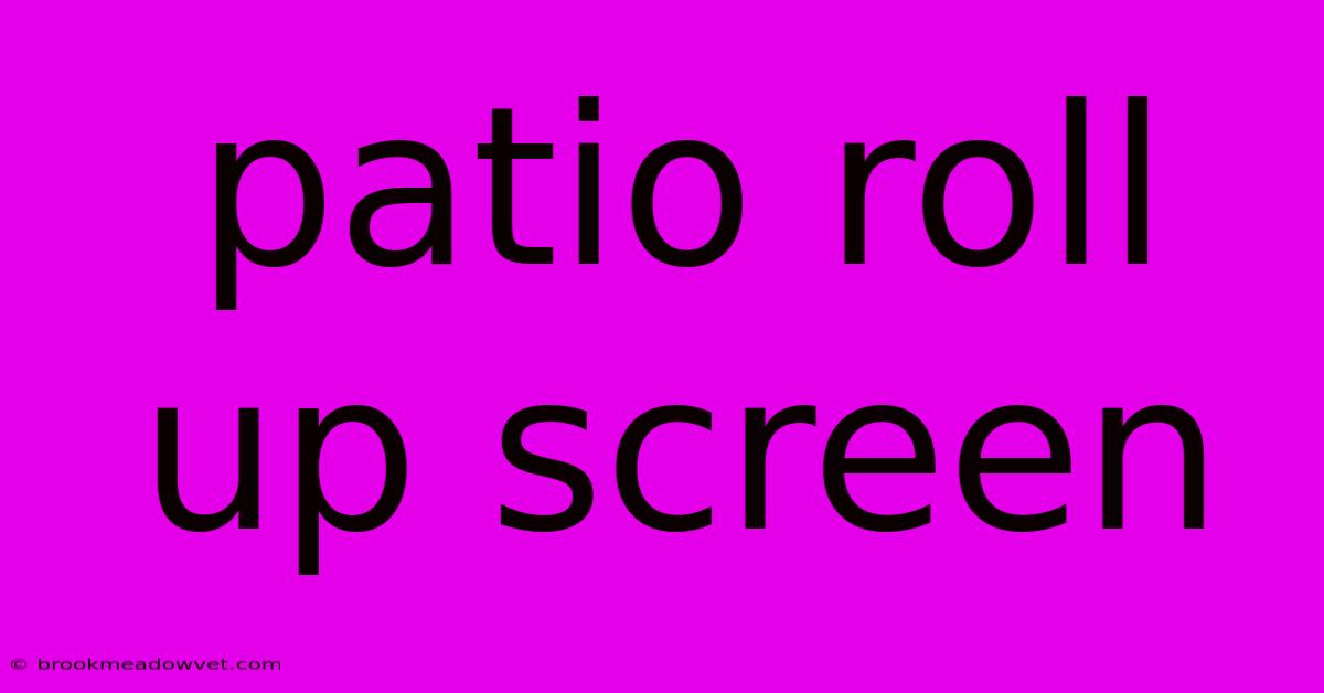 Patio Roll Up Screen