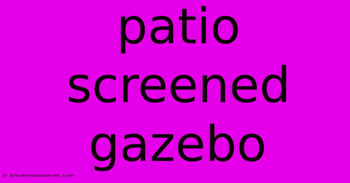 Patio Screened Gazebo