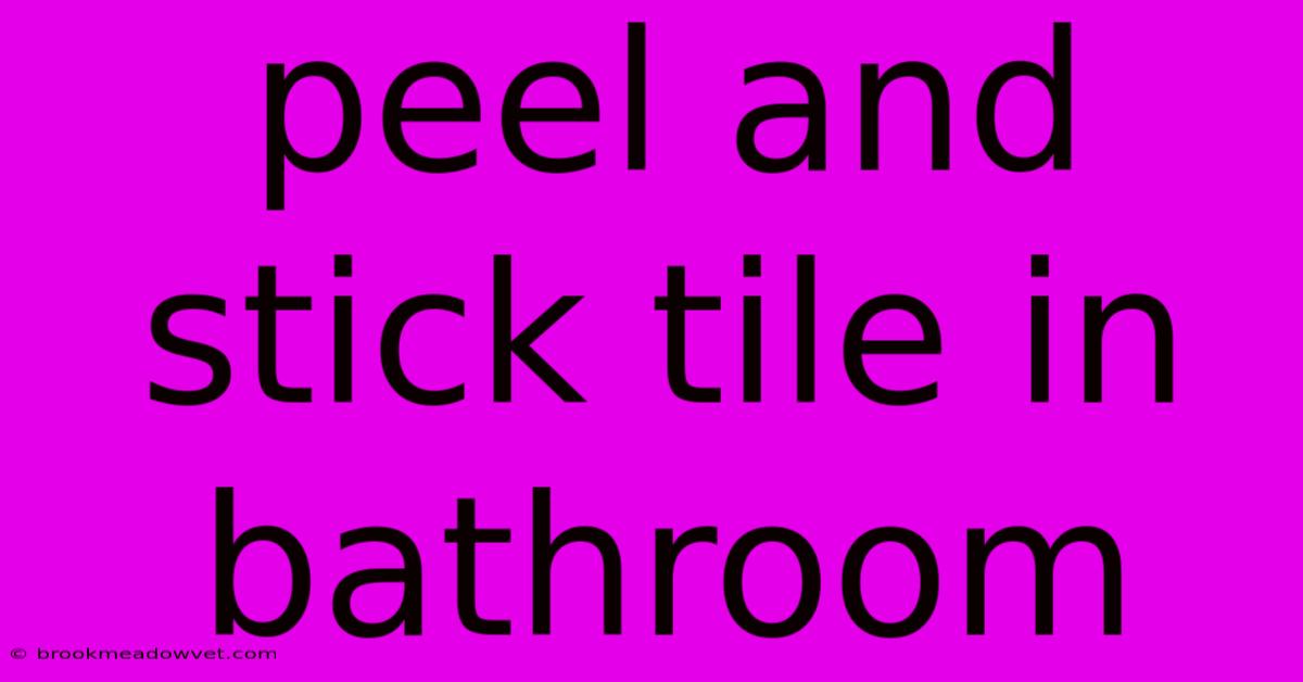 Peel And Stick Tile In Bathroom