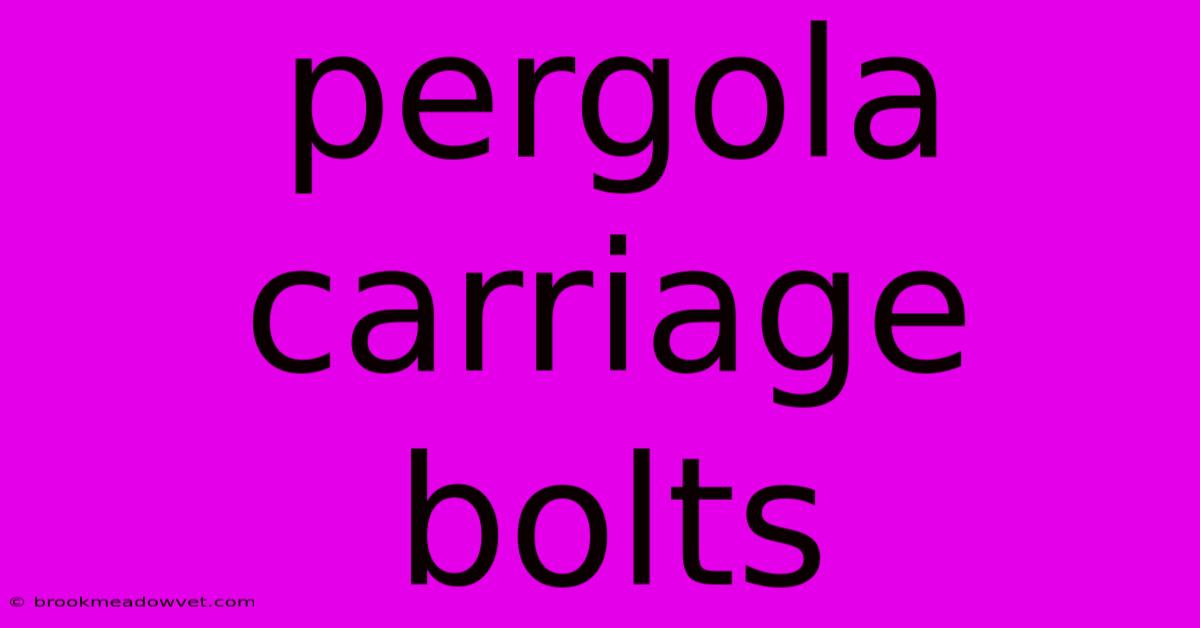 Pergola Carriage Bolts