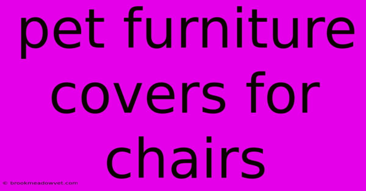 Pet Furniture Covers For Chairs