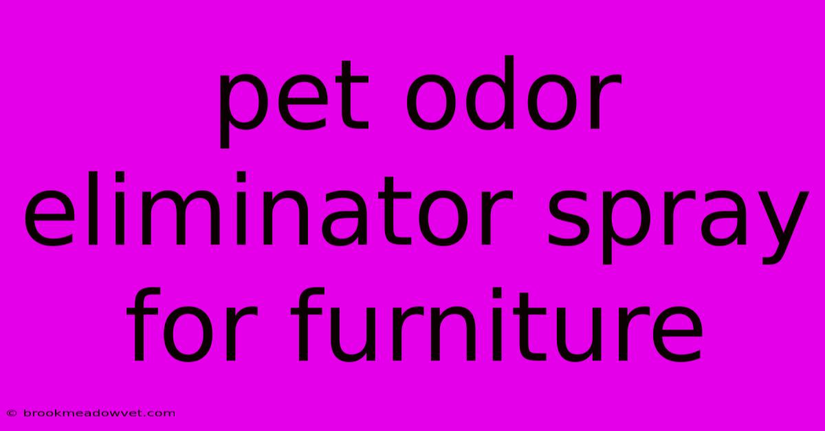 Pet Odor Eliminator Spray For Furniture