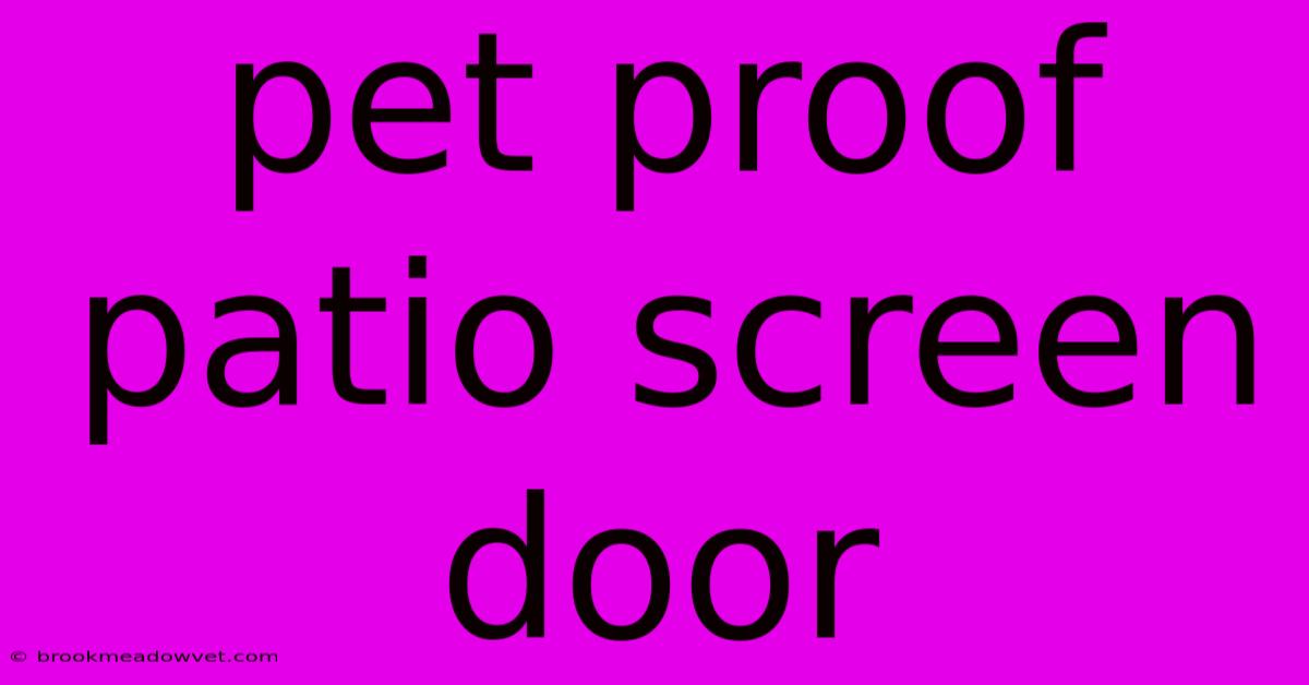 Pet Proof Patio Screen Door