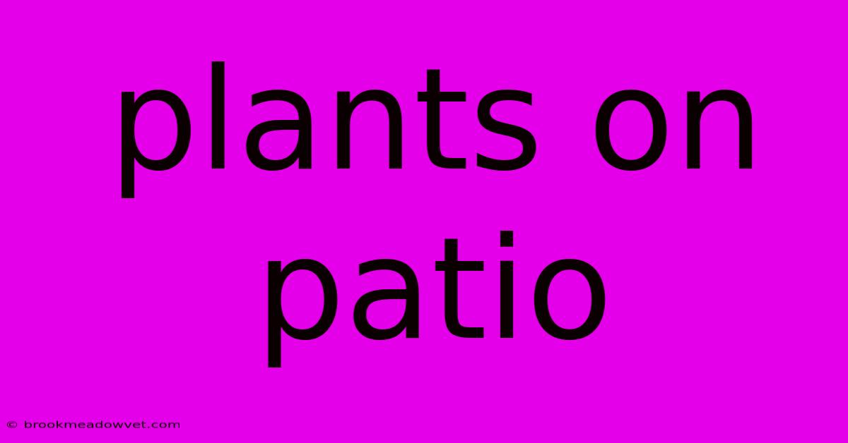 Plants On Patio