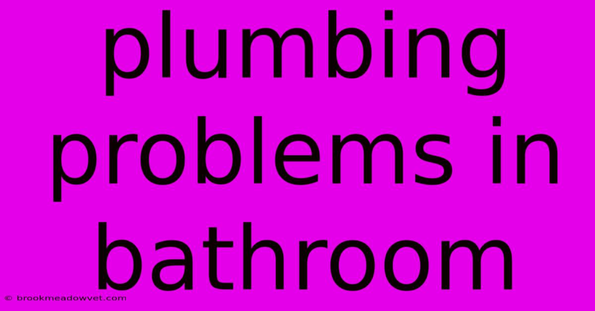 Plumbing Problems In Bathroom